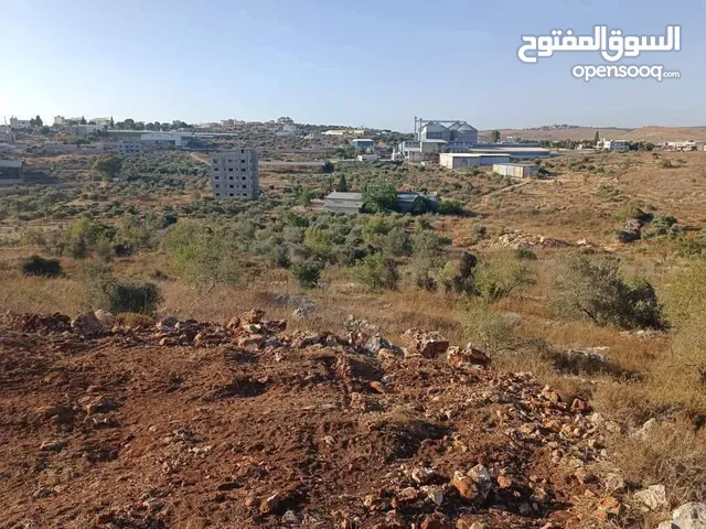 800متر طابوا فلسطنيني في ارقى منطقة بالكفريات