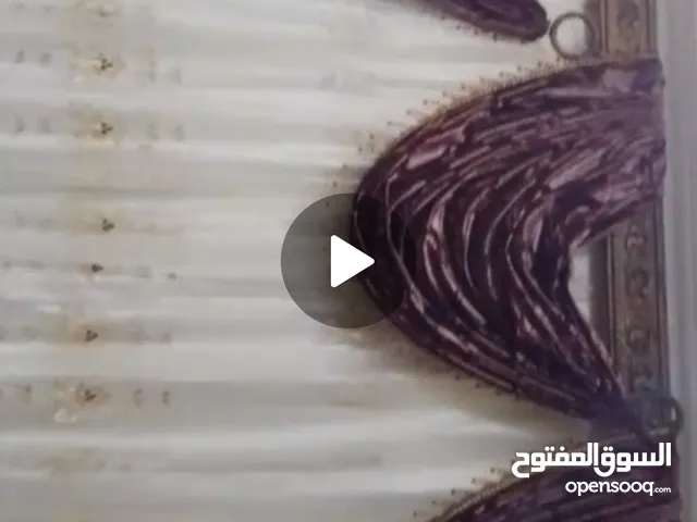 برداية للبيع