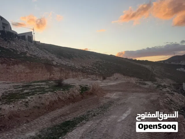 Residential Land for Sale in Zarqa Shomer