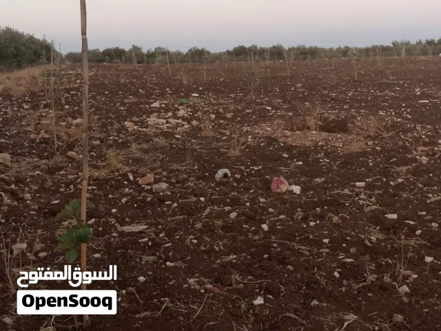 اربعة دنمات للبيع بسعر مغري من المالك مباشره اربد لواء بني كنانه القصفه 3 7 4 8 4 3 9 8 7 0 عدي