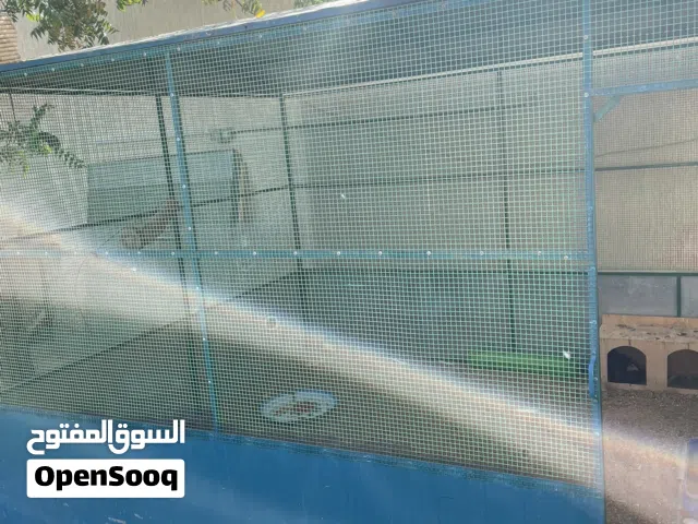 قفص كبير جداً ينفع لكل الطيور