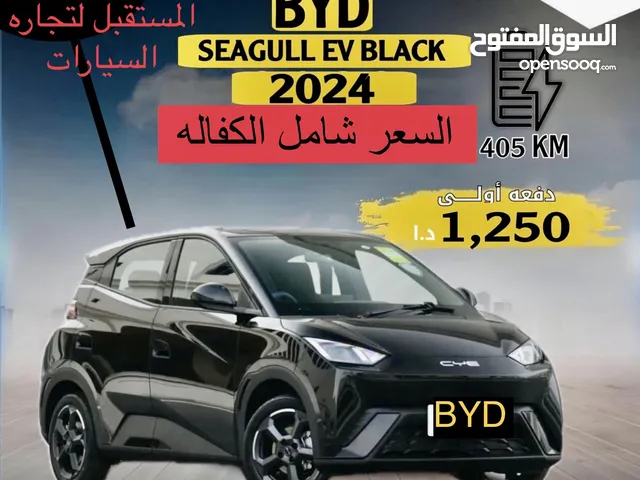 BYD Seagull 2024 in Zarqa