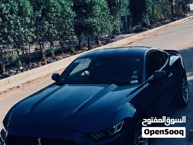 موستنك ايكو