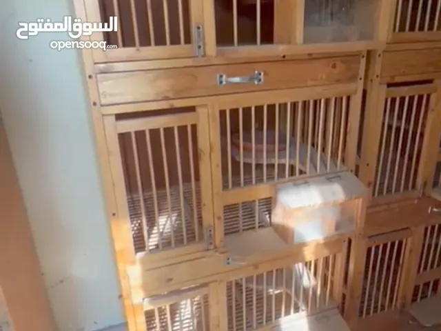 خانات لبلوب لبيع جدد اقره الوصف