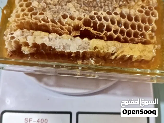عسل طبيعي من جبال جرش