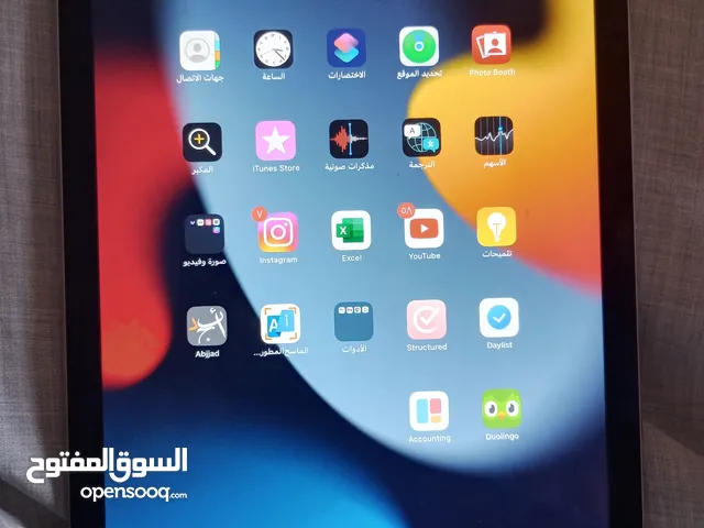 Apple iPad Air 2 16 GB in Muscat