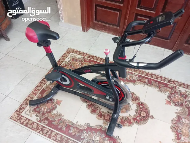 بسكليت اجرين