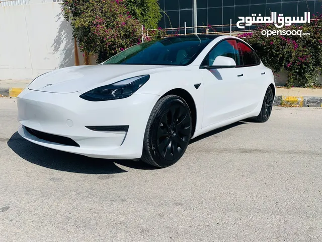Tesla Model 3 Standerd Plus 2023