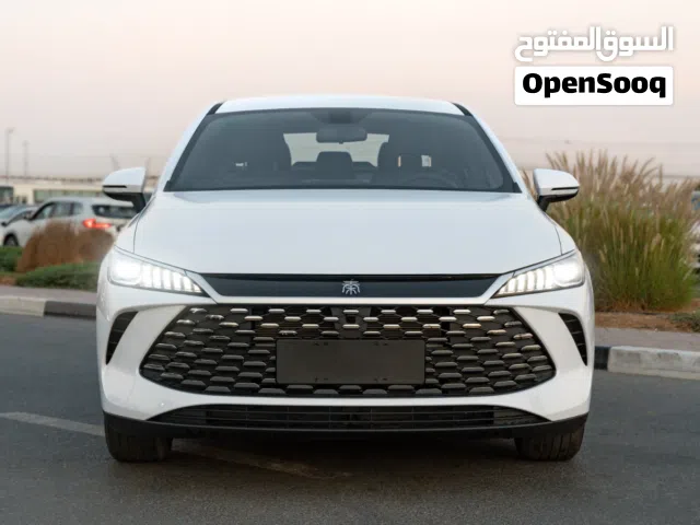 2025 بي واي دي كين