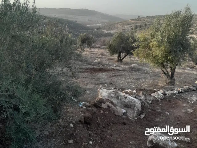 Mixed Use Land for Sale in Hebron Surif