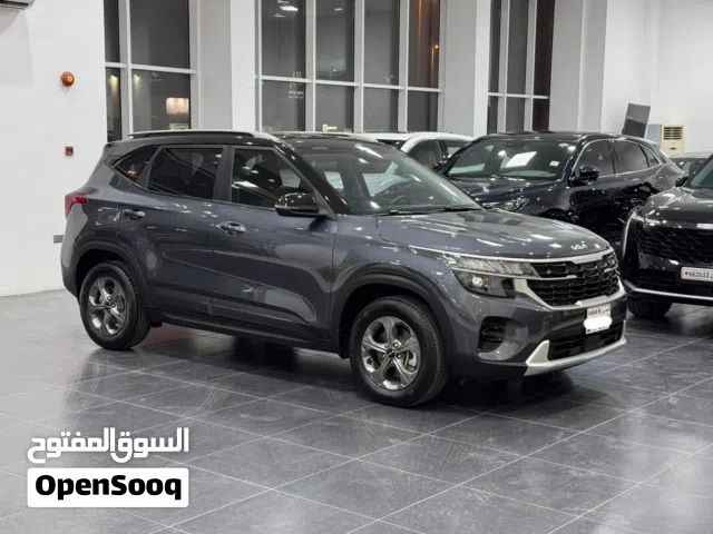 Kia Seltos 2024 (Grey)