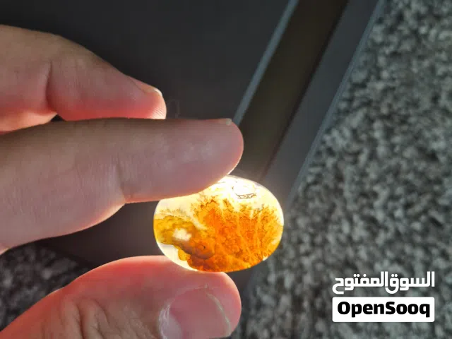 عندما يتشجر الحجر بلفظ الجلالة [ الله ]