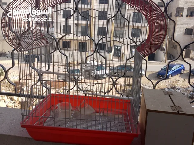 قفص طيور متوسط مع كوخ خشبي