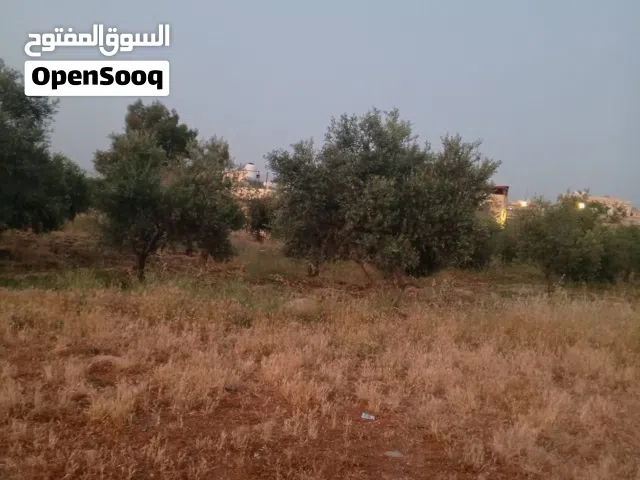 Residential Land for Sale in Salt Al Subeihi