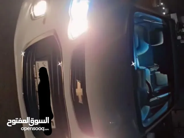 شفر افيو 2019