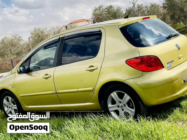 2004 Peugeot 307 Base