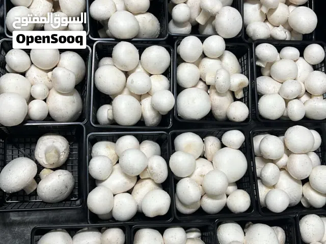 فطر طبيعي لون ابيض