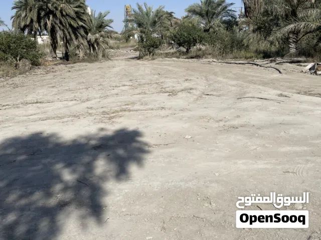 ارض للإيجار تصير مخزن تصير كلشي حسب حاجة