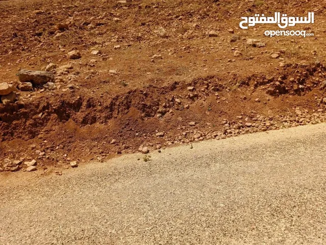 قطعة ارض في بلعما بسعر مغري ثلاث دنم ونصف