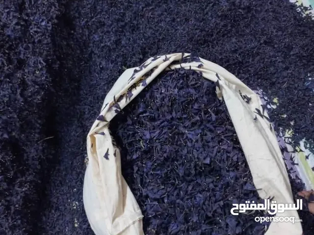 للبيع بالجملة – النعناع البري ولسان الثور المجفف من إيران – جودة عالية وتوصيل إلى الإمارات