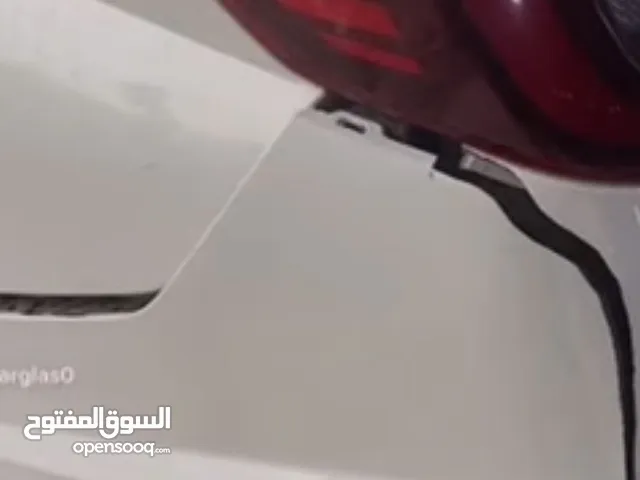 فايبر جلاس
