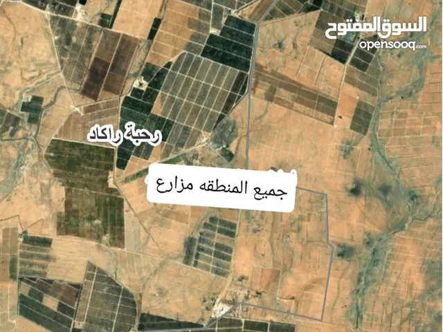 Western Land for Rent in Mafraq Al-Badiah Ash-Shamaliyah