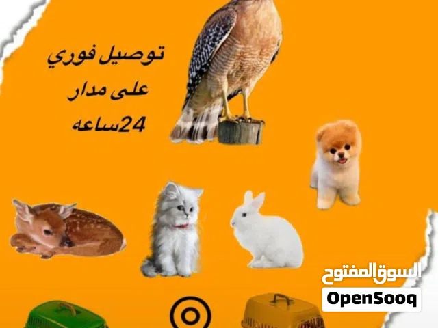 توصيل حيوانات لجميع الإمارات " توصيل فوري "