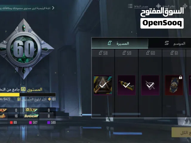 Pubg Accounts and Characters for Sale in Irbid