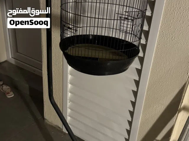 قفص ممتاز للبيع