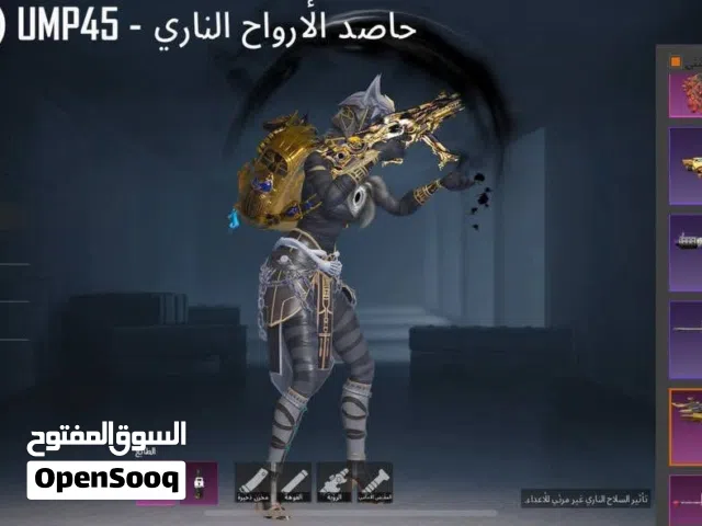 Pubg Accounts and Characters for Sale in Sabha