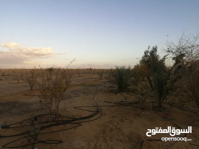 Mixed Use Land for Sale in Matruh Alamein