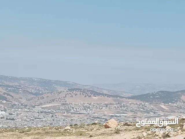 Residential Land for Sale in Amman Safut
