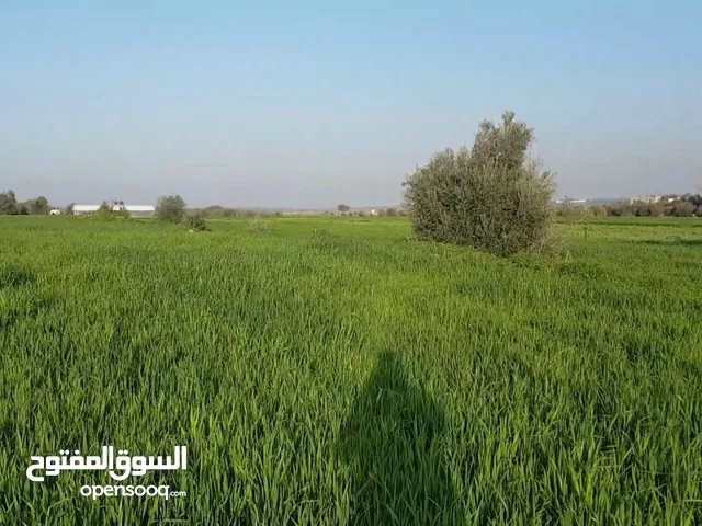 ارض للبيع جنوب شارع البتراء حوض القرام