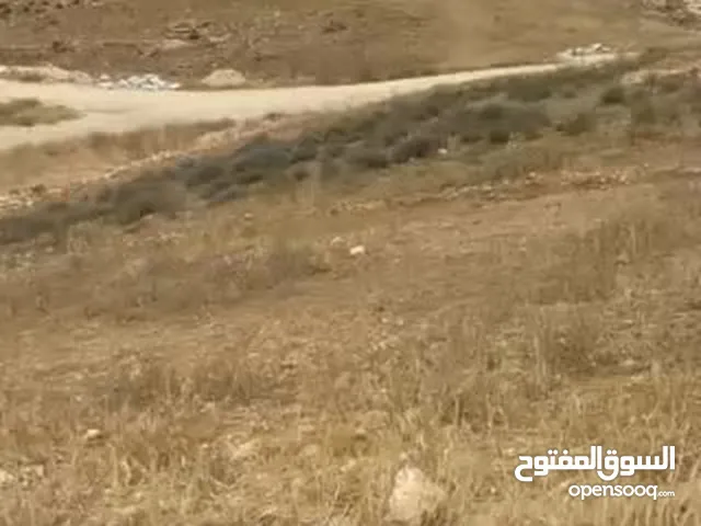 Residential Land for Sale in Amman Salihiyat Al-Abid