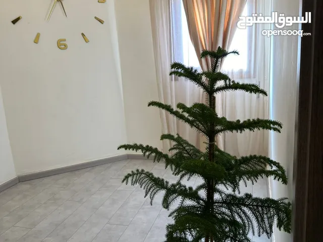 175m2 3 Bedrooms Apartments for Rent in Tripoli Bin Ashour