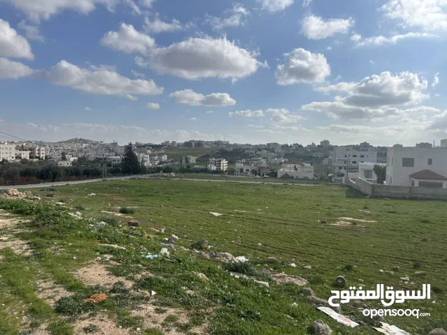 Residential Land for Sale in Amman Shafa Badran