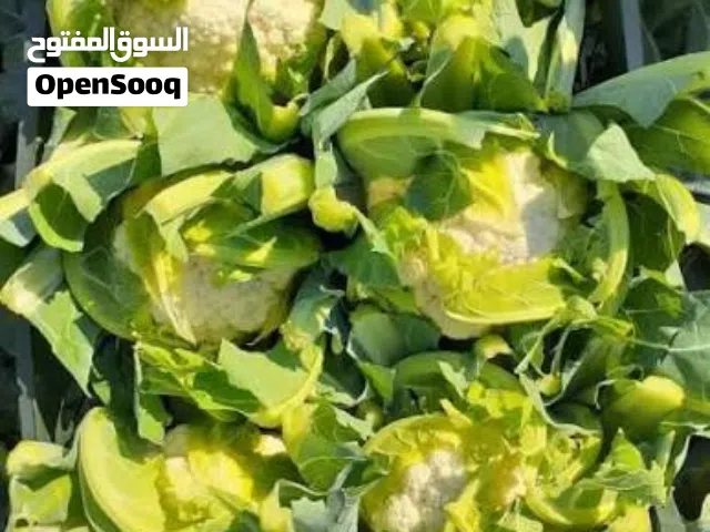 القرنبيط الأبيض الإيراني والقرنبيط الفاخر