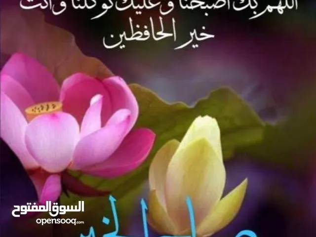 شور بكس مستعمل بسعر مغري