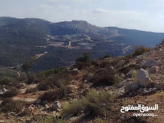 Mixed Use Land for Sale in Ramallah and Al-Bireh Abwein