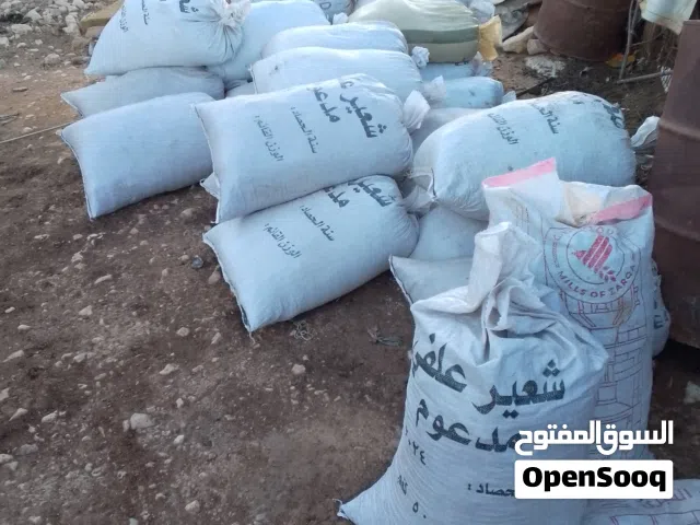 زبل غنم سماد عضوي زبل غنم ناشف وناعم ومكفول من البراغيث معباه في شولات