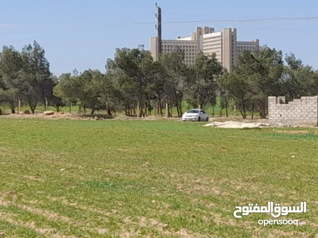 Residential Land for Sale in Ramtha Romtha