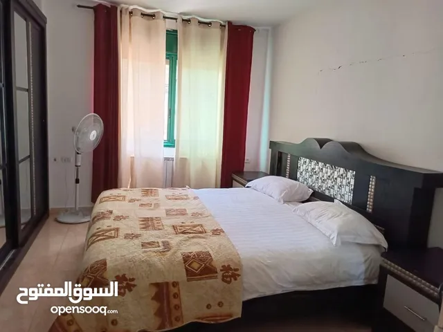 50 m2 Studio Apartments for Rent in Ramallah and Al-Bireh Ein Musbah