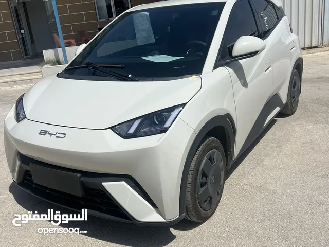 Byd seagull 2023 فحص كامل ولا ملاحظه بحالة الوكالة الوان بيج وفسفوري مميز