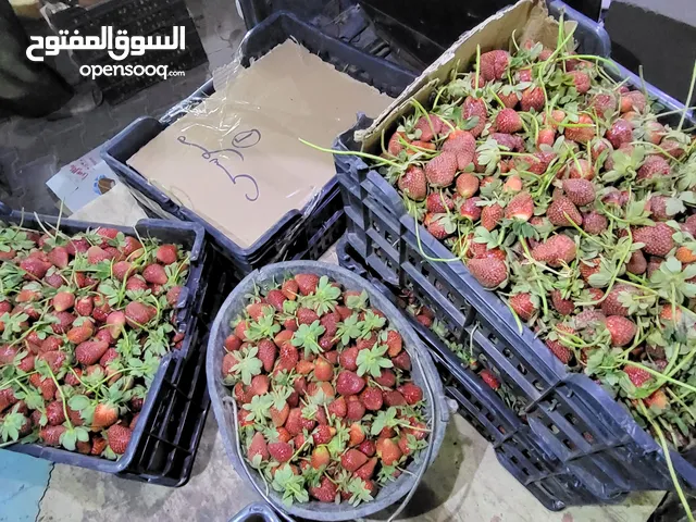 فروله بكور