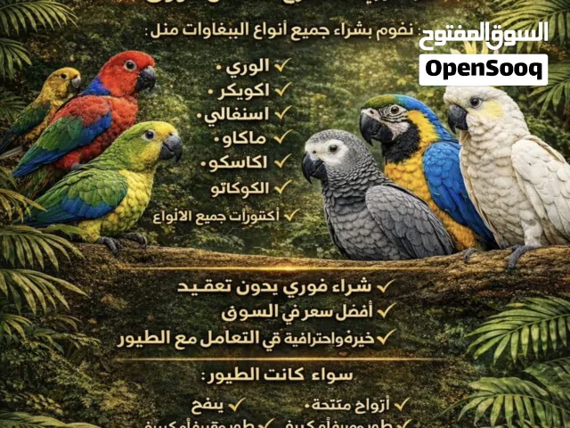 مطلوب  جميع انواع الببغاوات