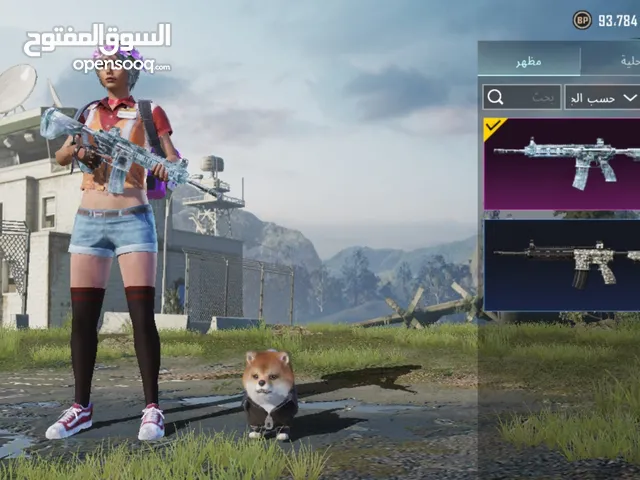 Pubg Accounts and Characters for Sale in Basra