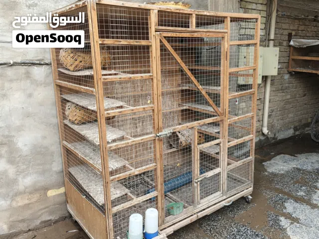 قفص للحمام للبيع
