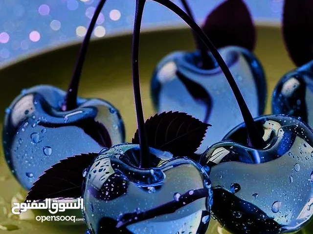 شقة خدمية للإيجار بمنطقة أبو نواس