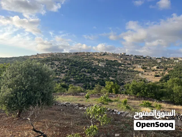 Mixed Use Land for Rent in Ajloun Other