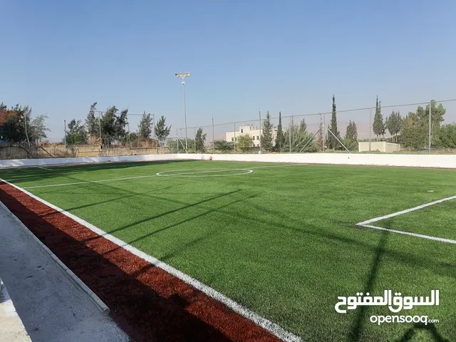 عشب صناعي واكسسوارات الملاعب
